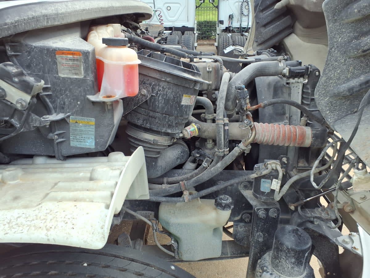 2020 Freightliner/Mercedes M2 106 896029