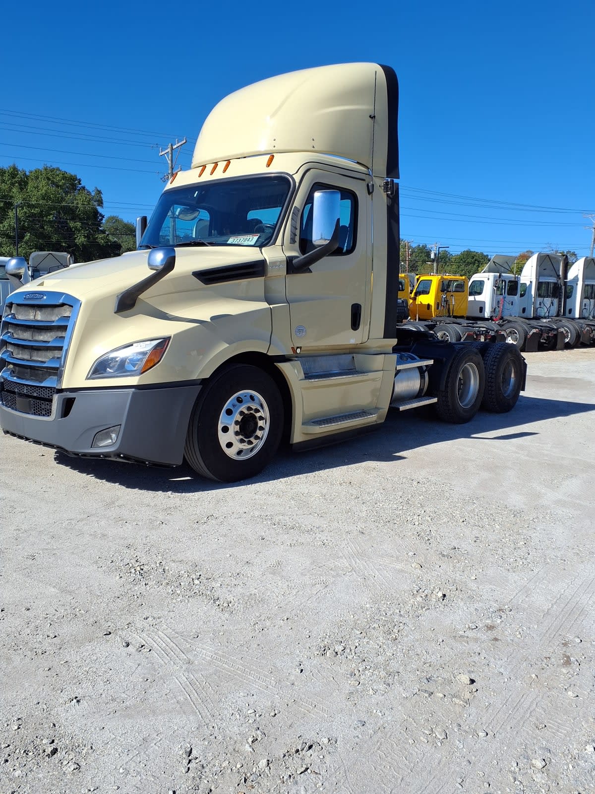 2020 Freightliner/Mercedes NEW CASCADIA PX12664 896366