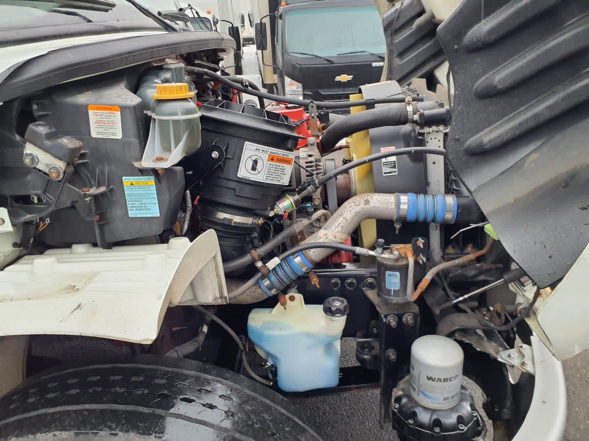 2020 Freightliner/Mercedes M2 106 896452