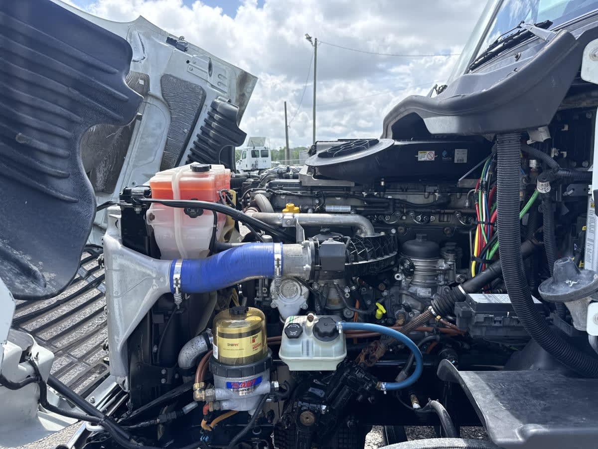 2020 Freightliner/Mercedes CASCADIA 125 896483
