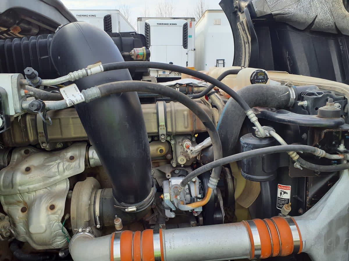 2020 Freightliner/Mercedes NEW CASCADIA PX12664 896495