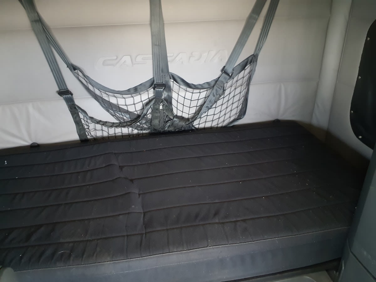 2020 Freightliner/Mercedes NEW CASCADIA PX12664 896495