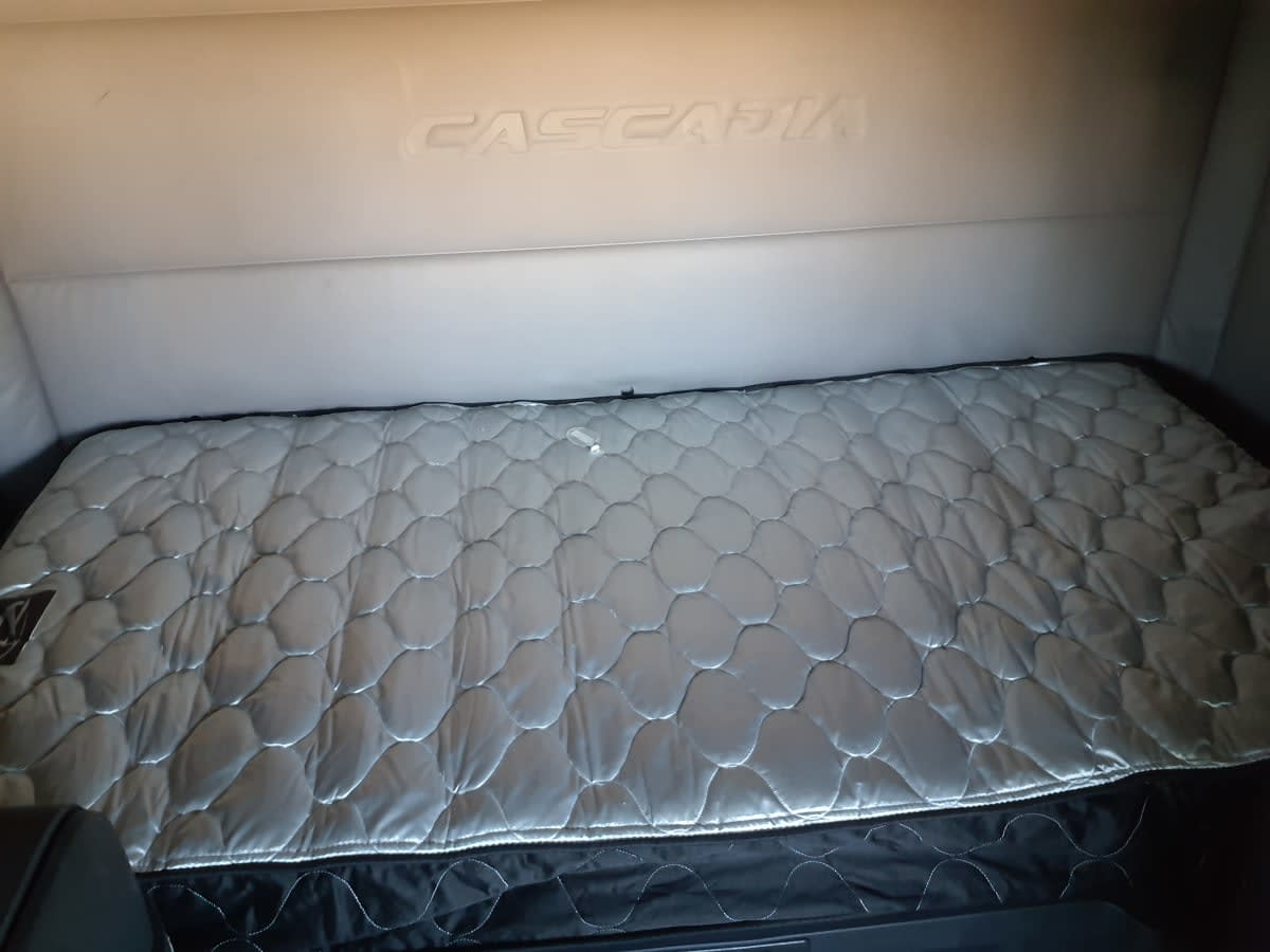 2020 Freightliner/Mercedes NEW CASCADIA PX12664 896497