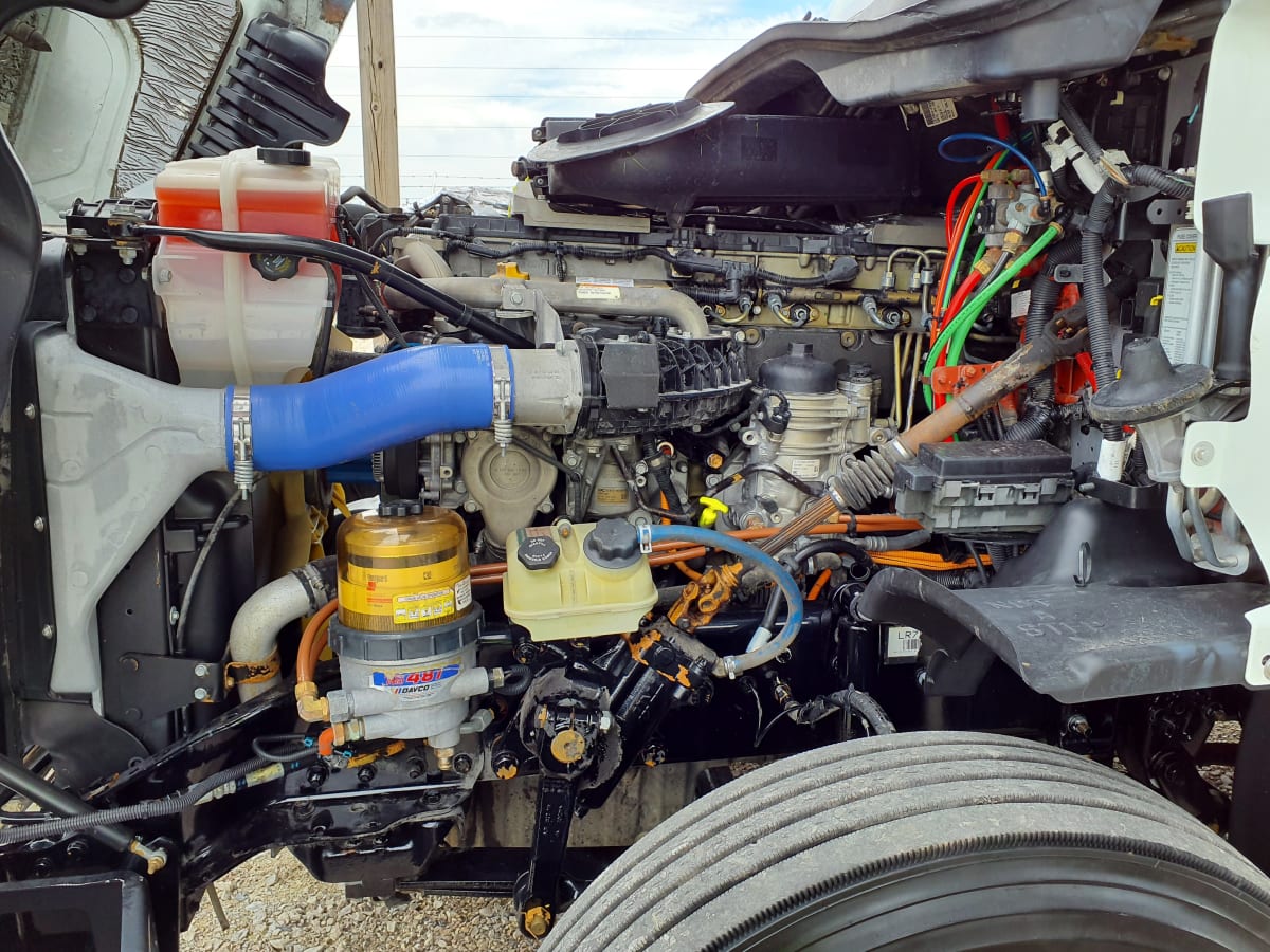 2020 Freightliner/Mercedes CASCADIA 125 896607