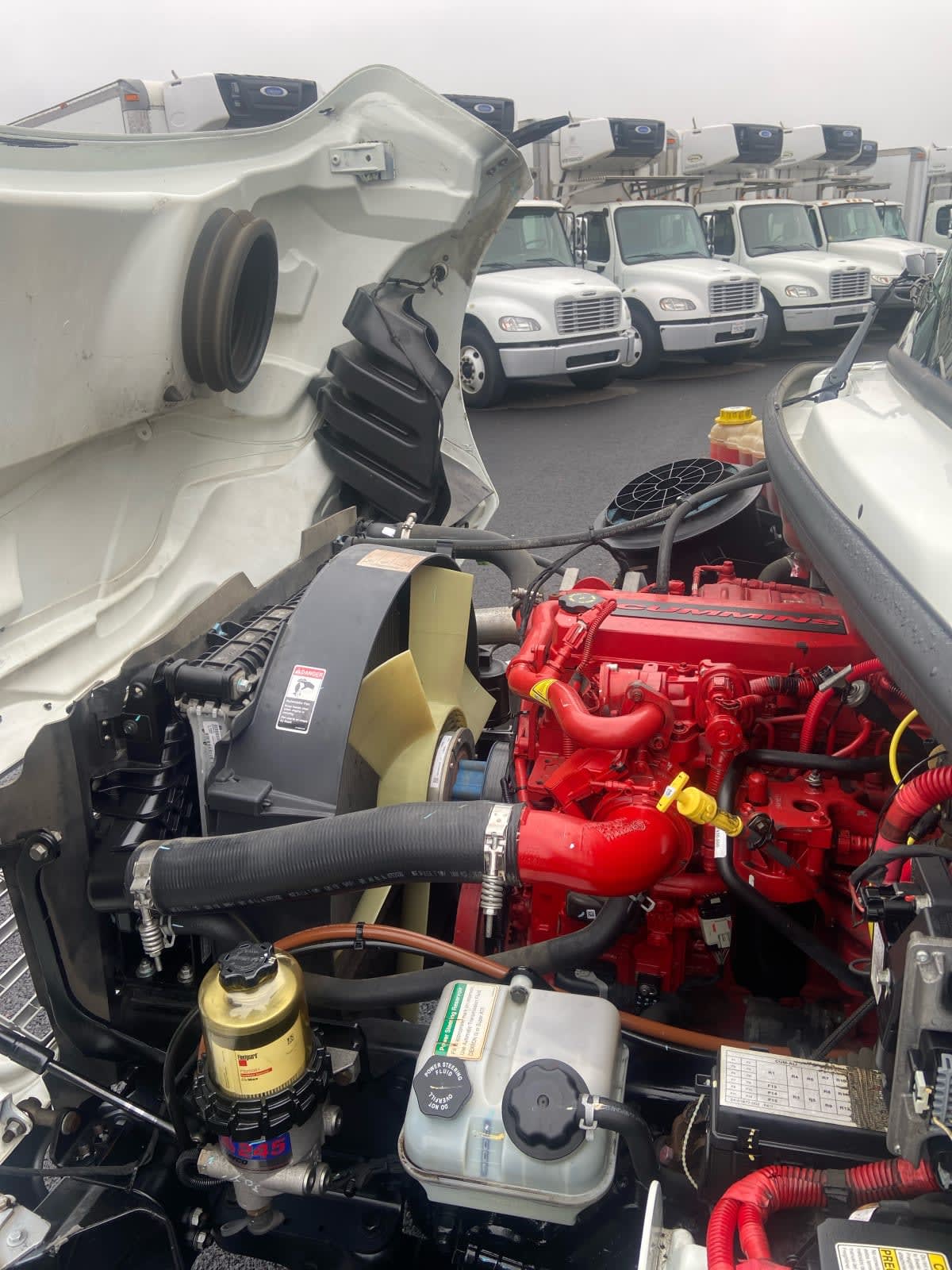 2020 Freightliner/Mercedes M2 106 896625