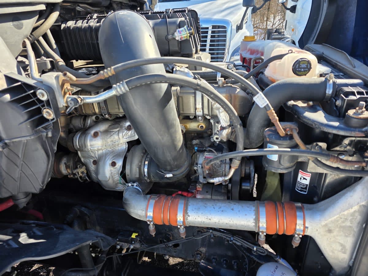 2020 Freightliner/Mercedes NEW CASCADIA PX12664 896742