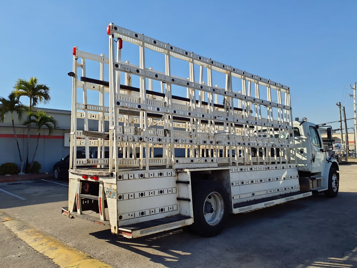 2020 Freightliner/Mercedes M2 106 896890