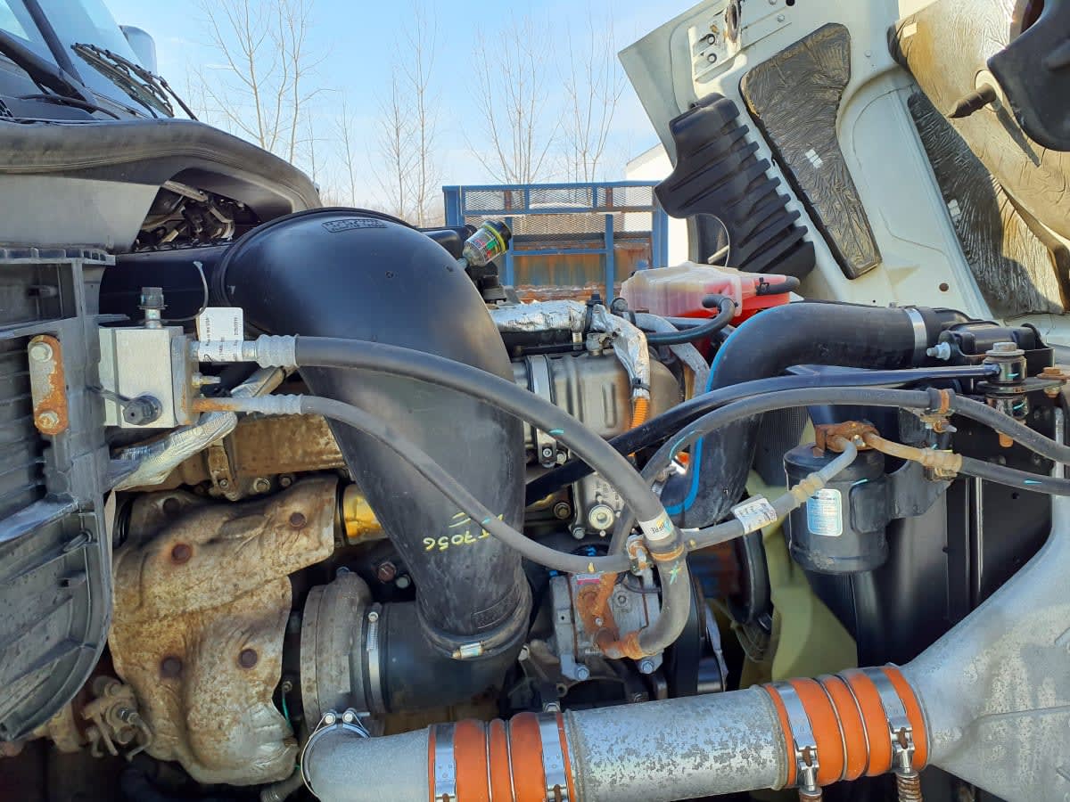 2020 Freightliner/Mercedes CASCADIA 125 896976