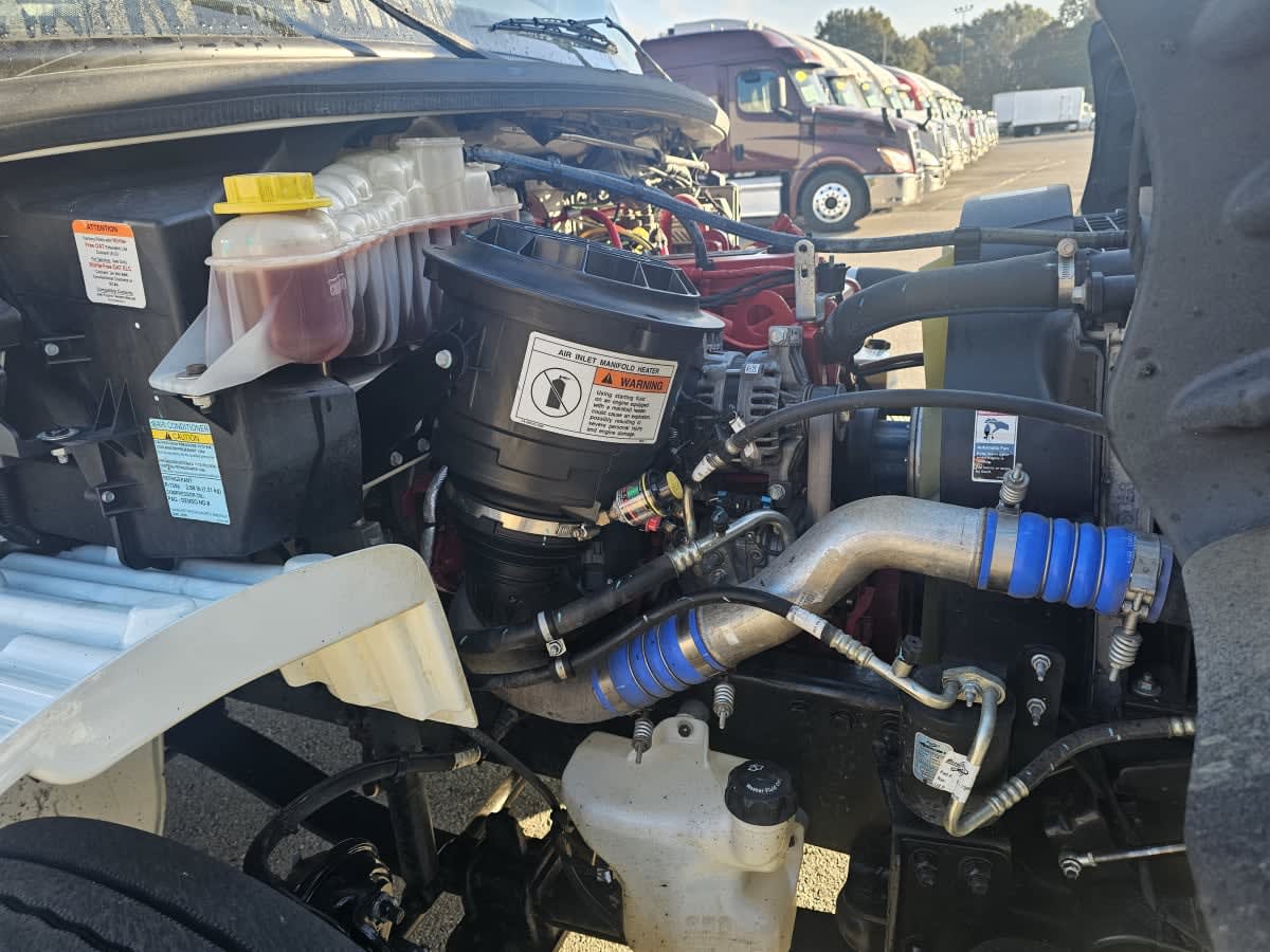 2020 Freightliner/Mercedes M2 106 897104