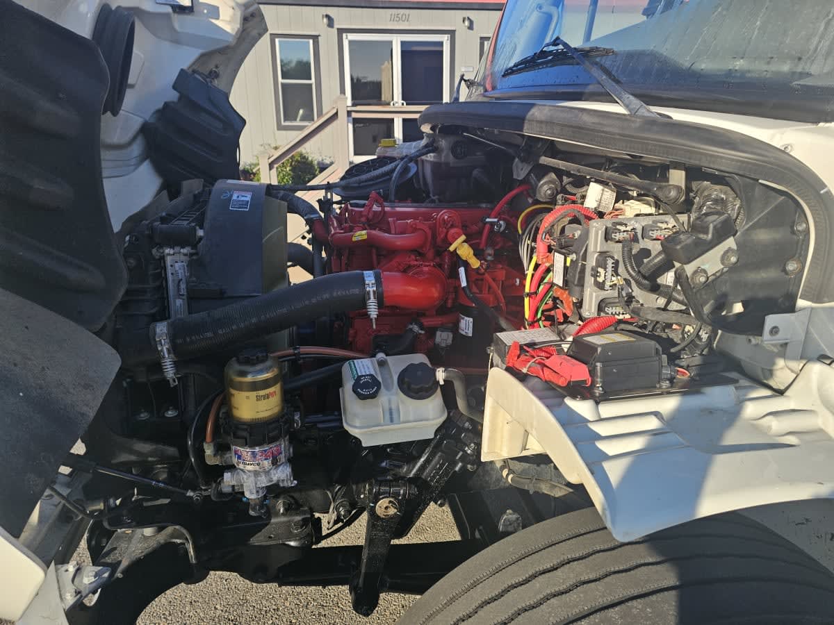 2020 Freightliner/Mercedes M2 106 897104