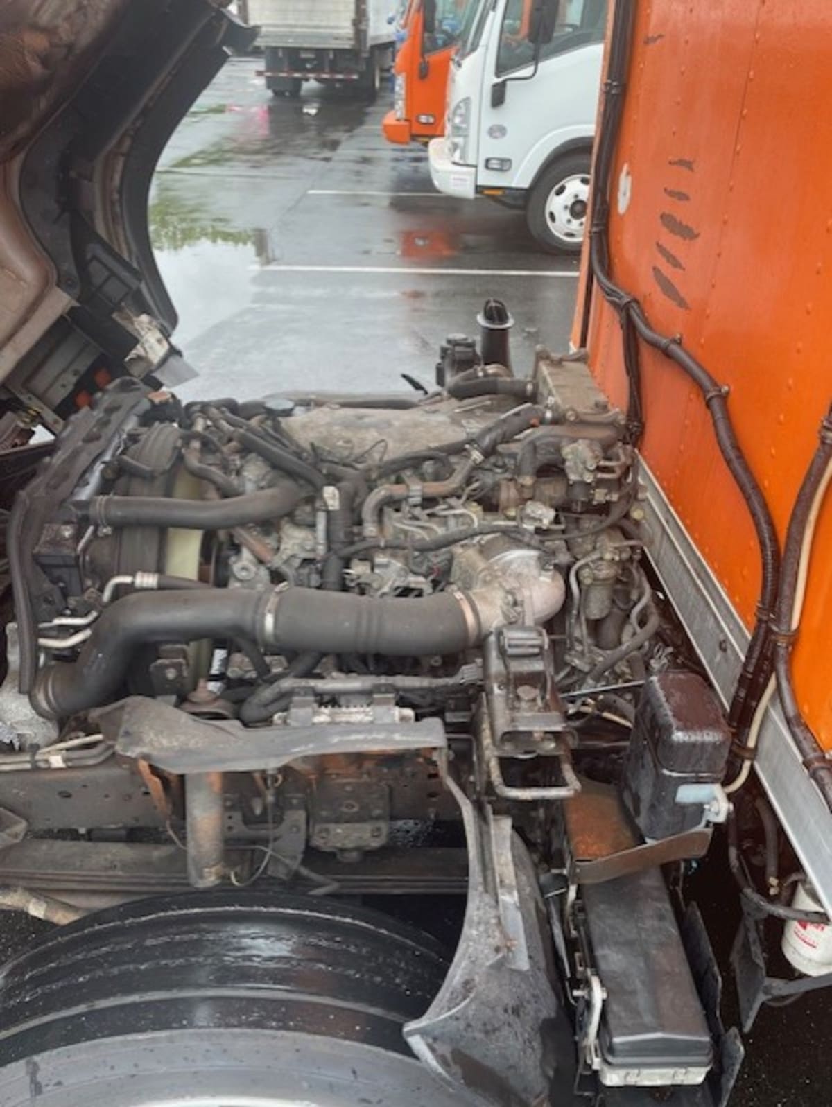 2019 Isuzu NQR 897327