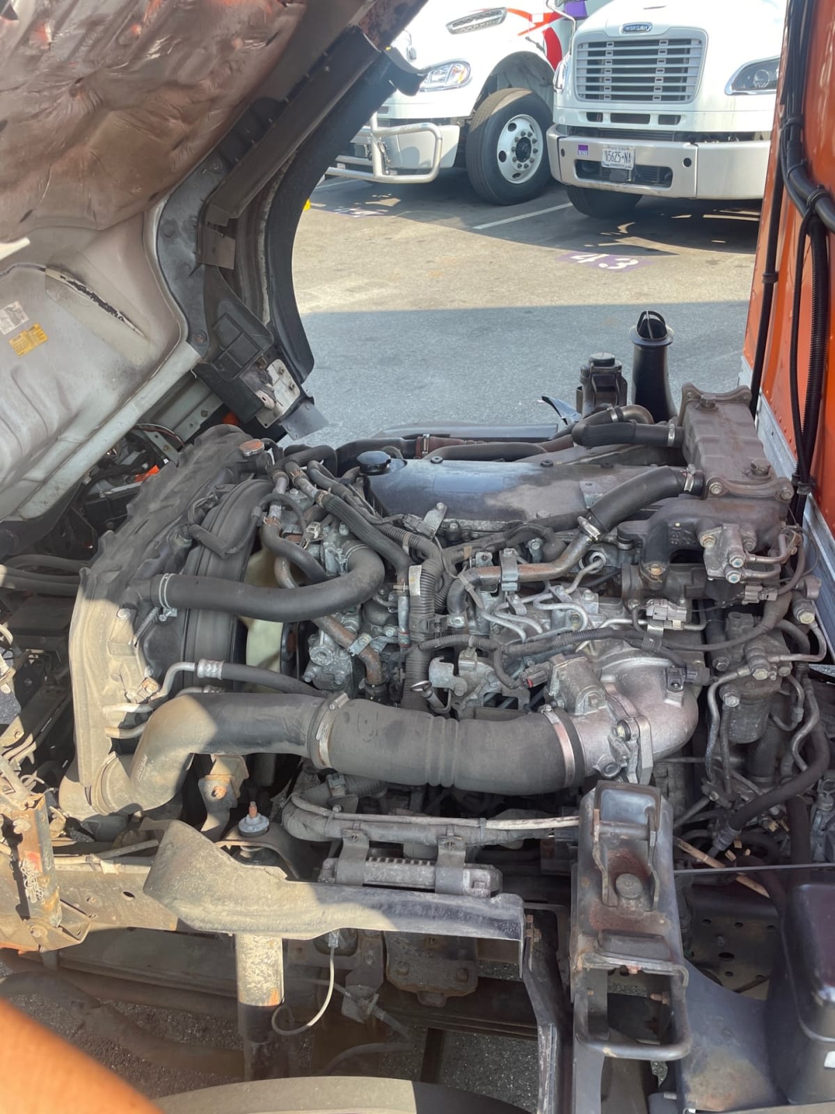 2019 Isuzu NQR 897333