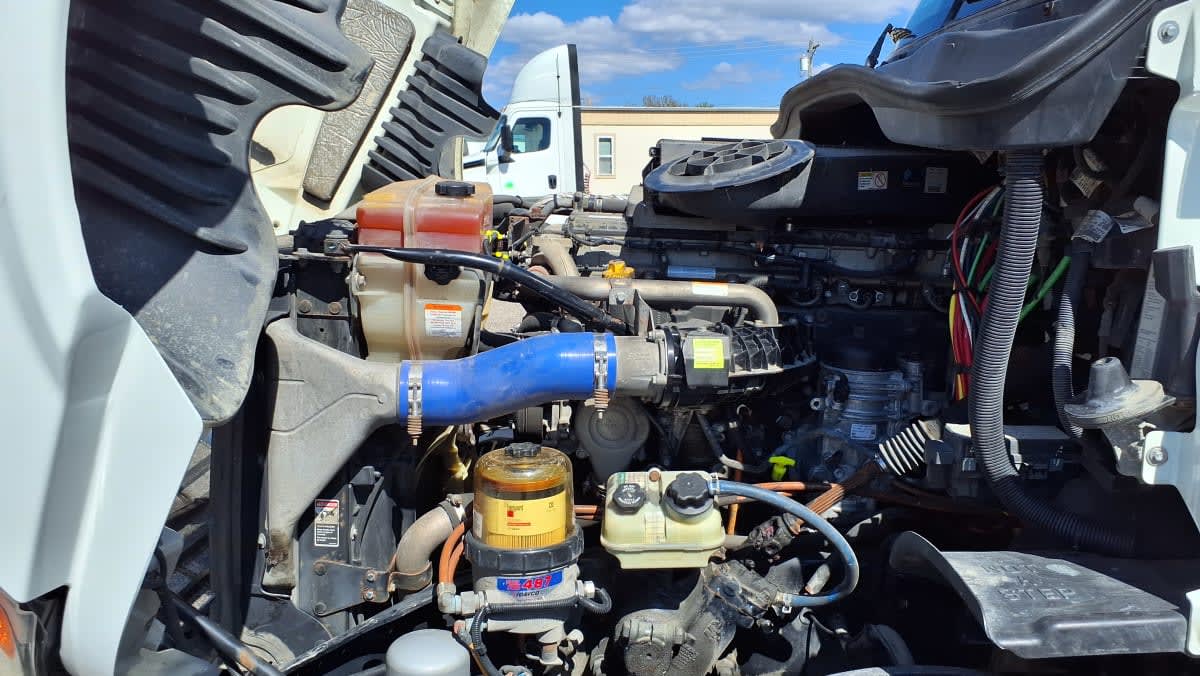 2020 Freightliner/Mercedes CASCADIA 125 897528