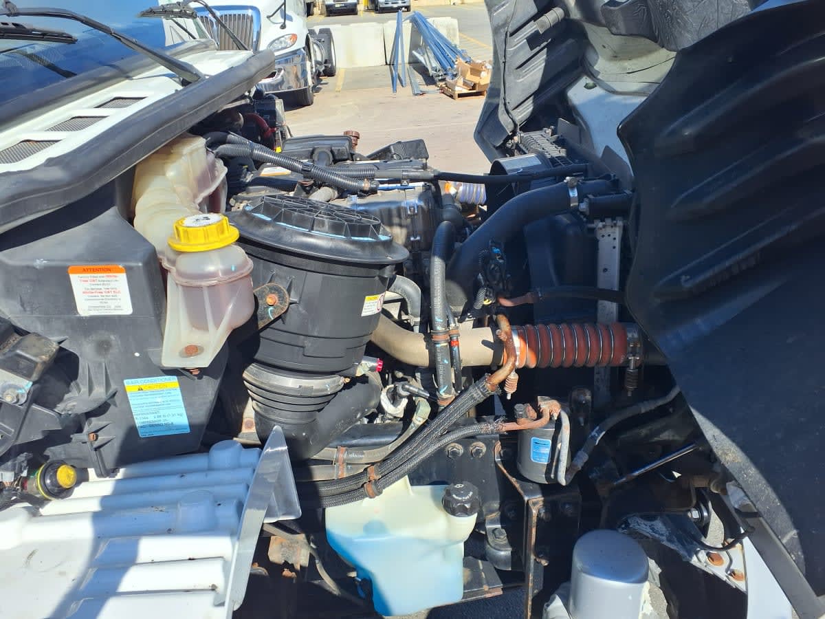 2020 Freightliner/Mercedes M2 106 897629