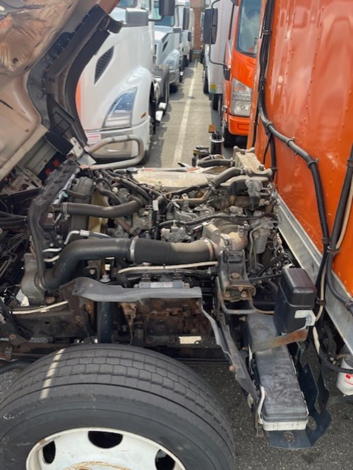 2019 Isuzu NQR 897942