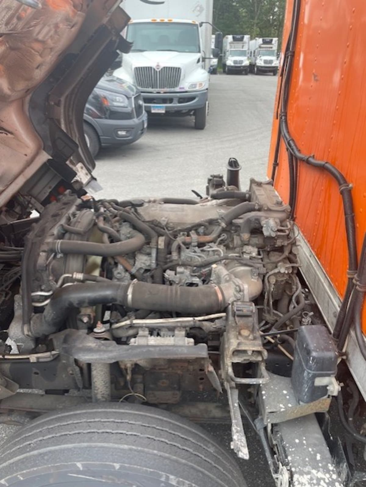2019 Isuzu NQR 897945