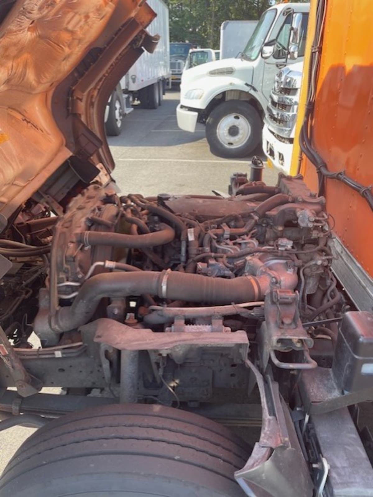 2019 Isuzu NQR 897947