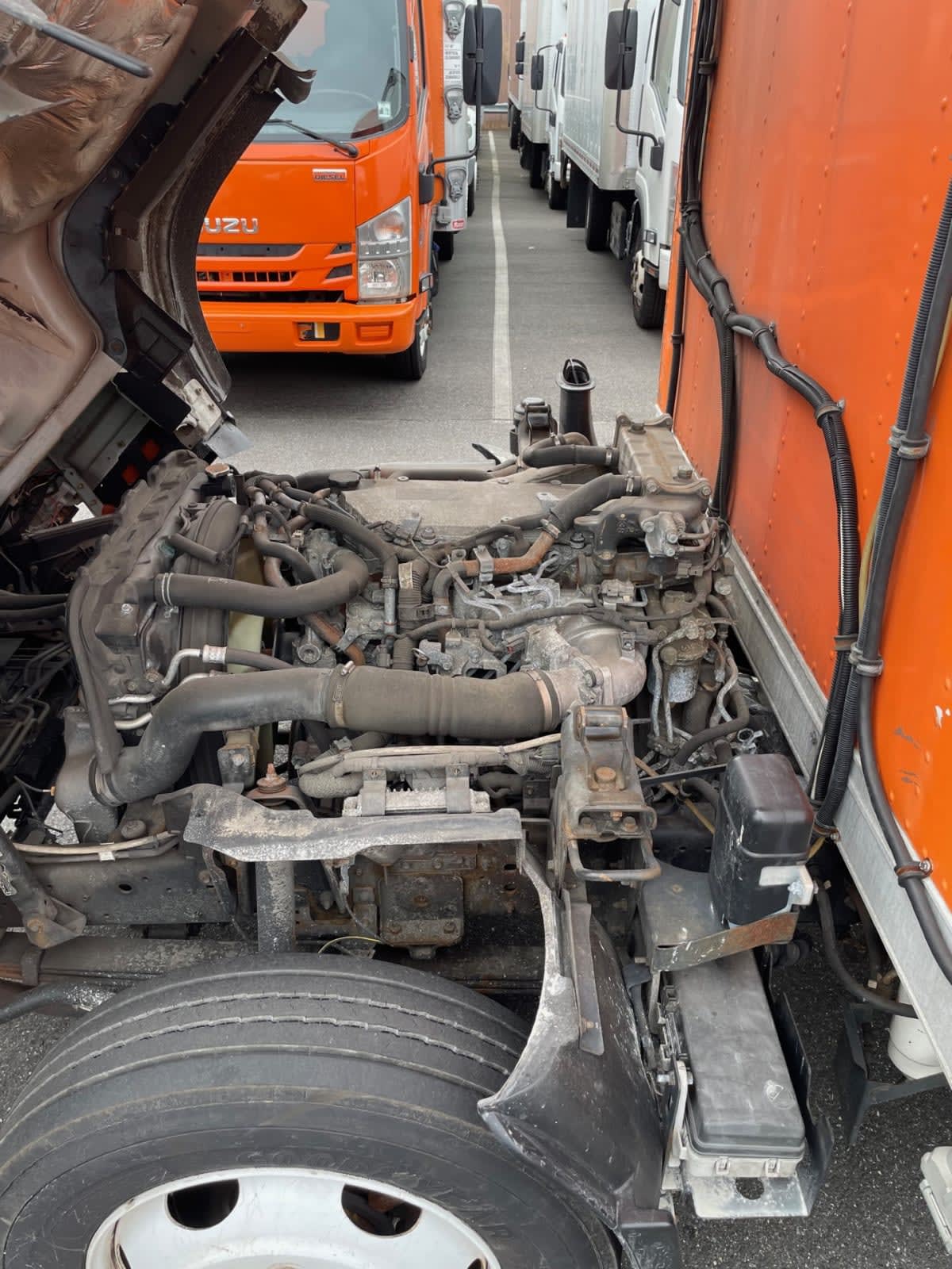 2019 Isuzu NQR 897948