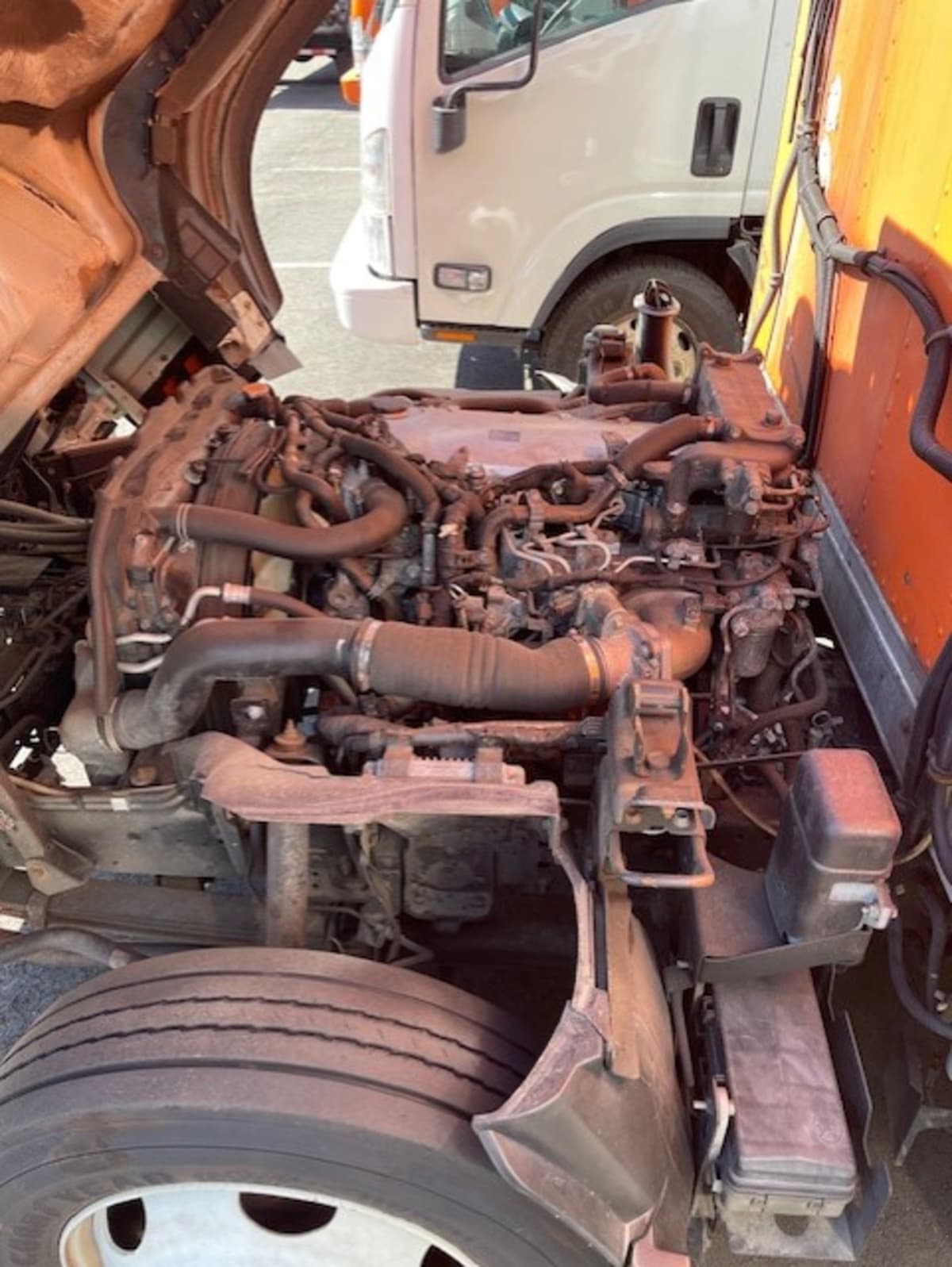 2019 Isuzu NQR 897950