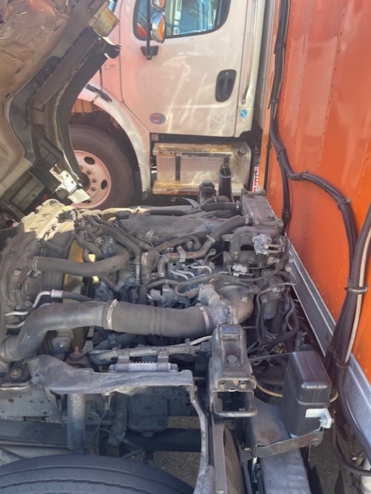 2019 Isuzu NQR 897953