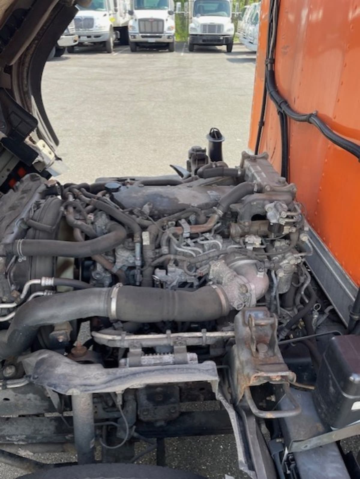 2019 Isuzu NQR 897954