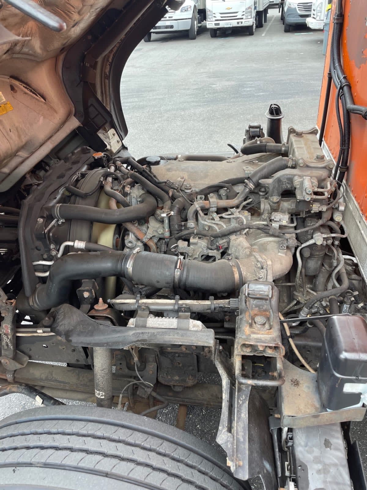 2019 Isuzu NQR 897957