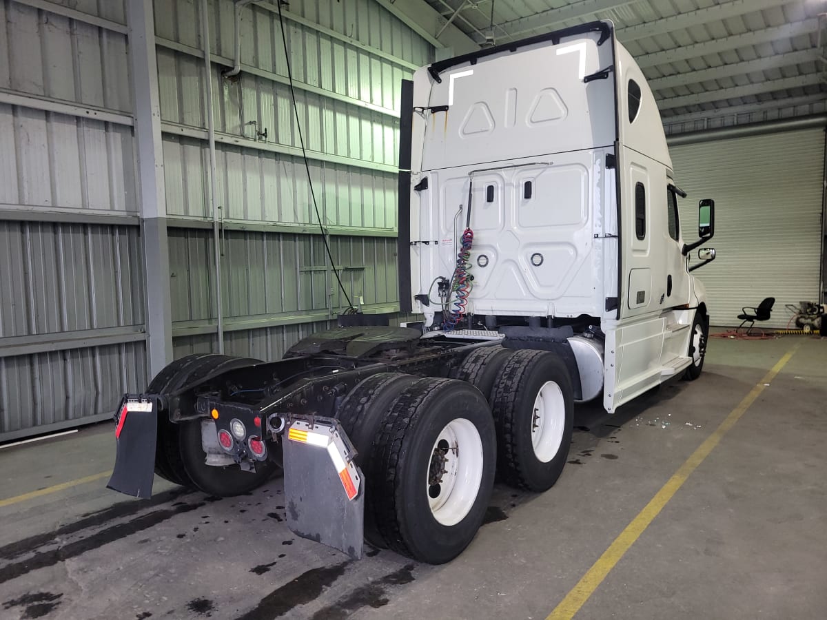 2020 Freightliner/Mercedes NEW CASCADIA PX12664 898071