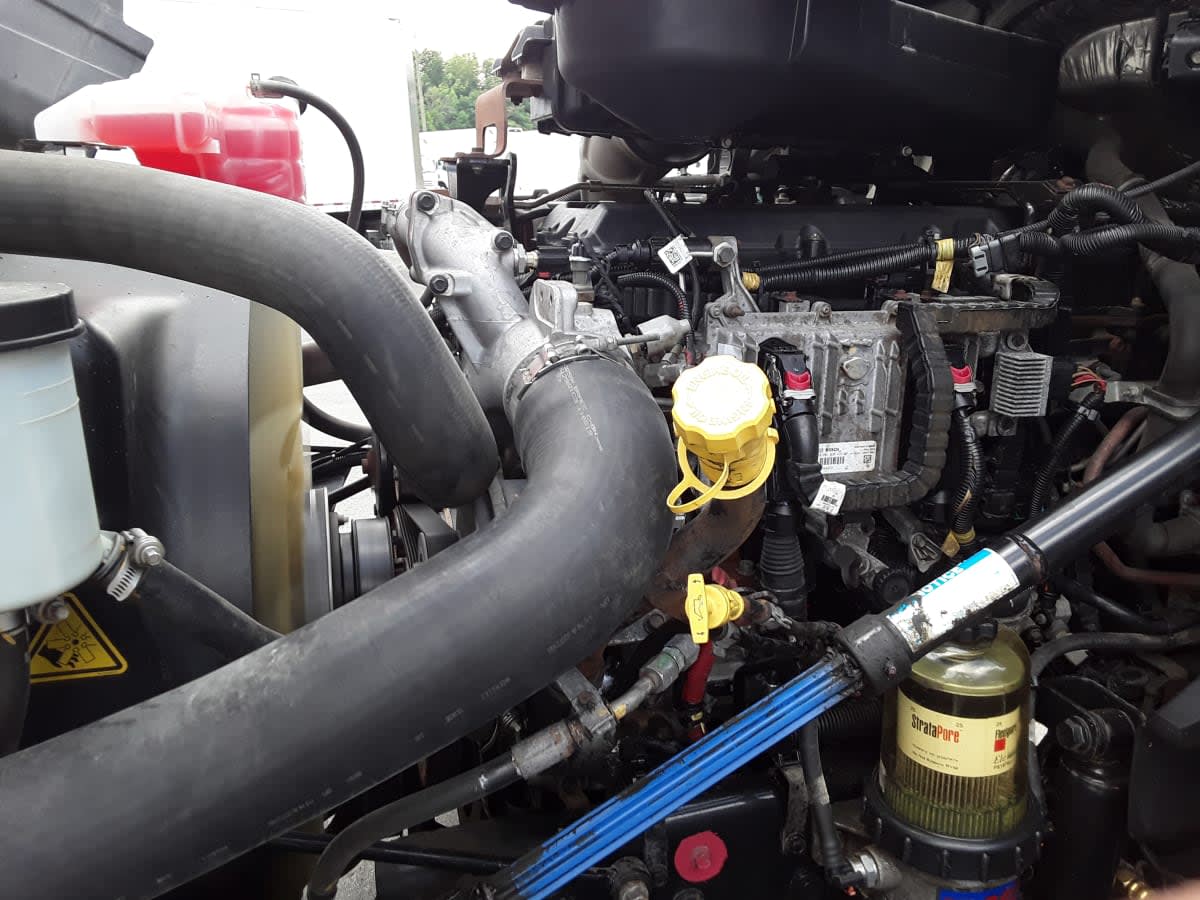 2020 International - image 5