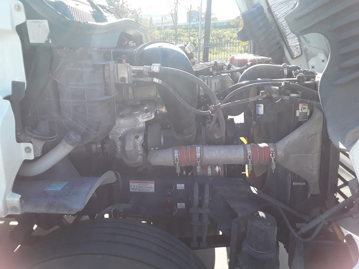 2020 Freightliner/Mercedes CASCADIA 125 898711