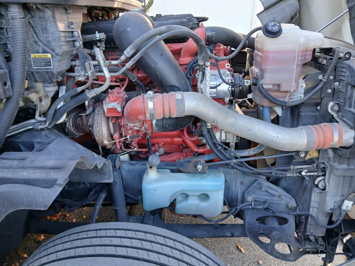 2019 International - image 17