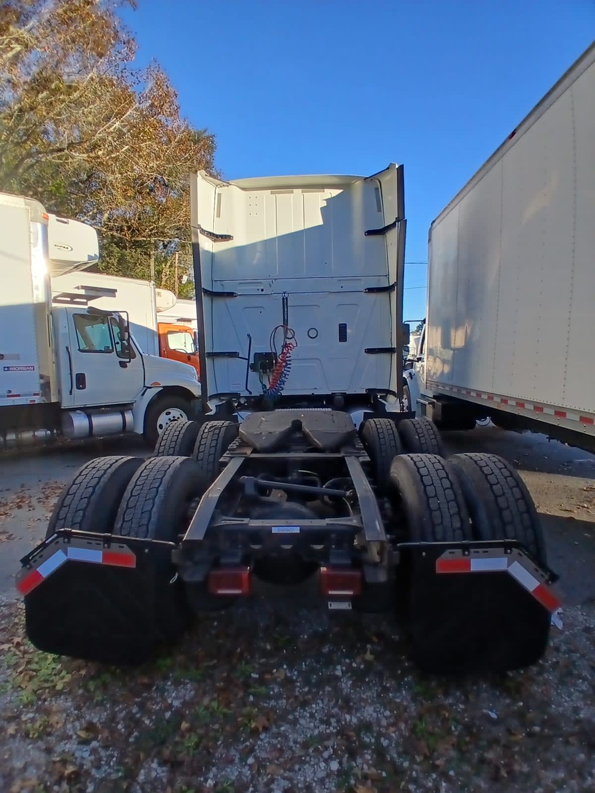 2019 International - image 5