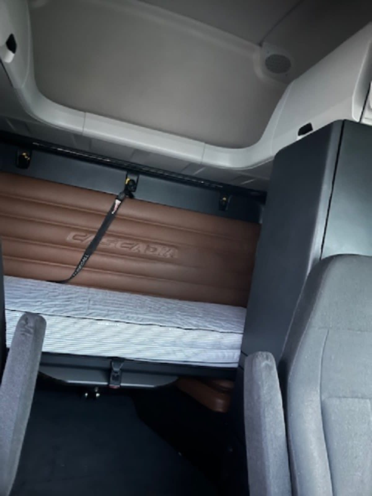 2020 Freightliner/Mercedes NEW CASCADIA PX12664 899678