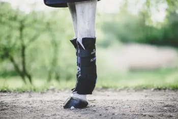 Kentucky Magnetic Stable Boots Recuptex