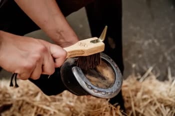 Grooming Deluxe Hoof Pick