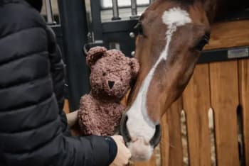 Kentucky Relax Horse Toy Bear