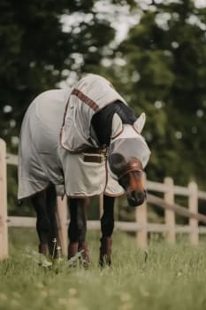 Kentucky Mesh Fly Rug Classic