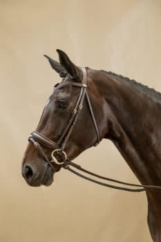Dyon Matte Large Crank Noseband Bridle With Flash Working By Dyon