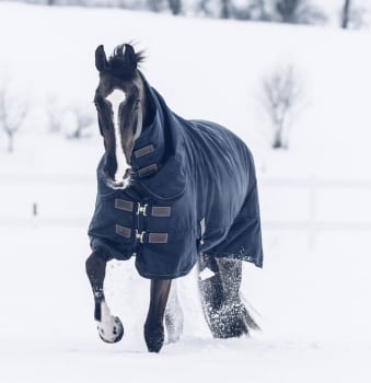 Finn riktig vinterdekken til hestens utegang: En komplett guide til Kentucky Horsewears utegangsdekken