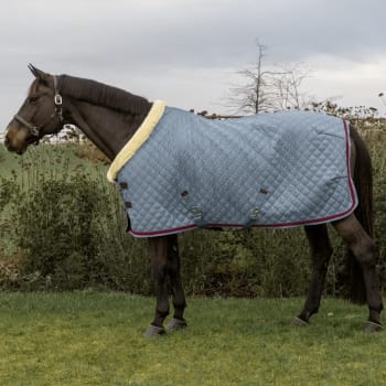 Kentucky Show Rug w/Braided Rope
