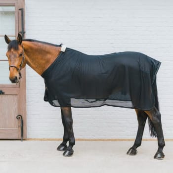 Kentucky Mesh Fly Sheet