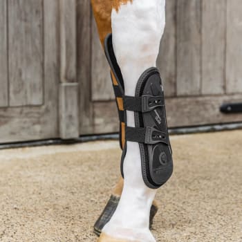 Kentucky Tendon Boots Elastic w/Knee Protection