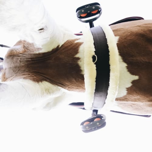 Kentucky Sheepskin Girth