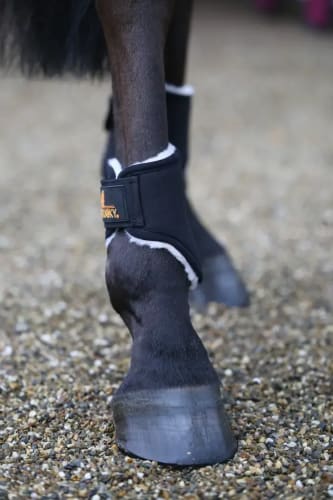 Kentucky Solimbra Turnout Boots Short Back