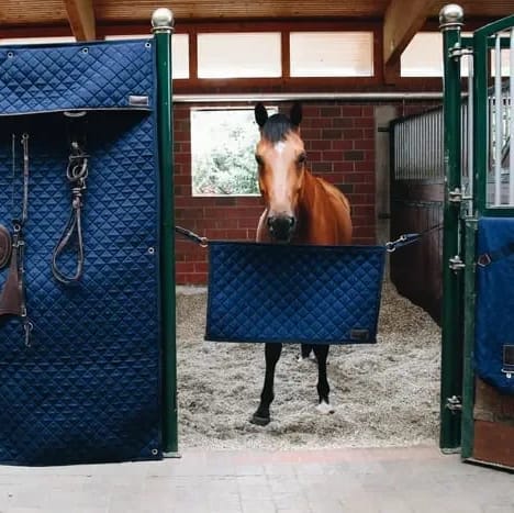 Kentucky Stable Guard