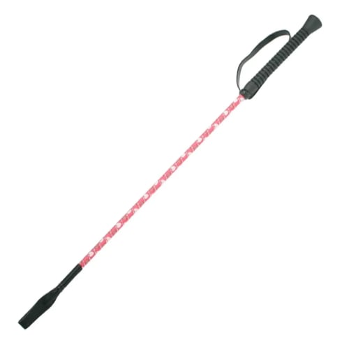 RS Ridepisk Junior
