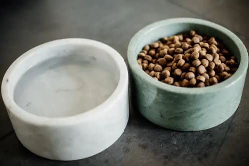 Kentucky Dog Bowl Marble