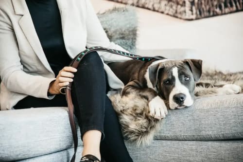 Kentucky Dog Lead Handmade Pearls