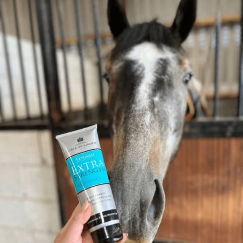 CDM FLYGARD Extra Strength Gel