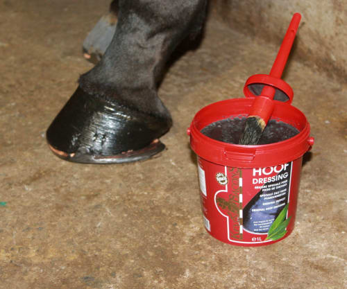 Kevin Bacon Hoof Dressing Black