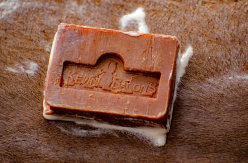 Kevin Bacon Active Soap